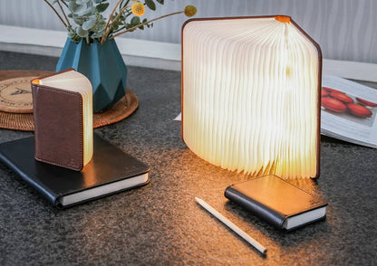 Gingko - Smart Book Light